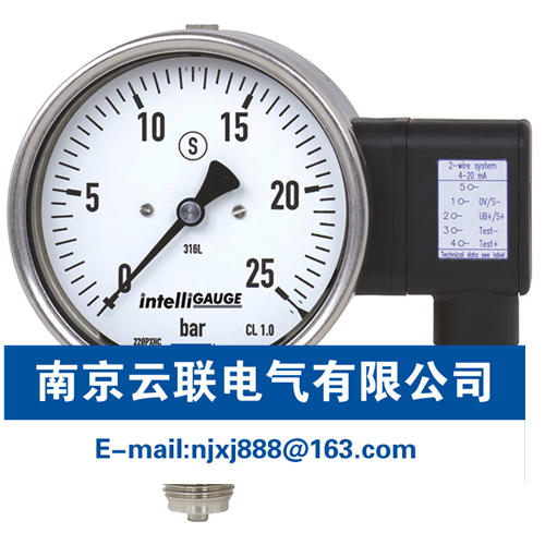 WIKA PGT23.100, PGT23.160 帶電信號輸出的波登管壓力表