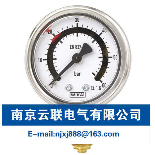 WIKA PGS21 帶1個(gè)或2個(gè)固定開(kāi)關(guān)電接點(diǎn)的波登管壓力